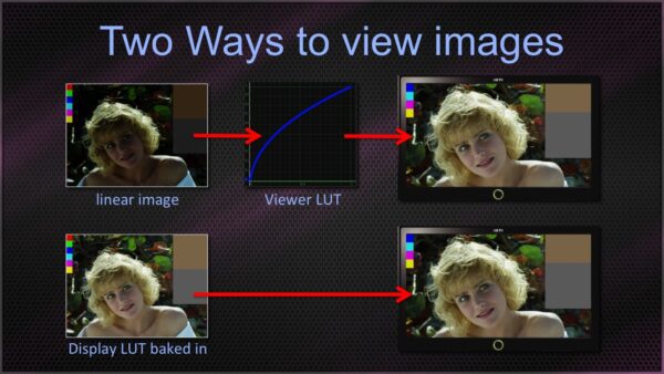 Working in Linear - Image 2