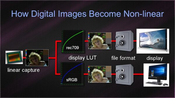 Working in Linear - Image 4